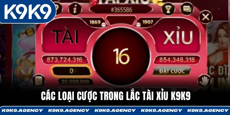 Lắc Tài Xỉu K9K9 - Dealer Trực Tiếp, Kết Quả Chuẩn 3 Xúc Xắc 2 Các loại cược trong Lắc Tài Xỉu K9K9
