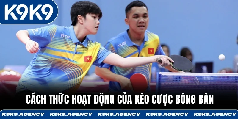 Cược Bóng Bàn Là Gì? Hướng Dẫn Dễ Hiểu Trong 60 Giây 3 Cách thức hoạt động của kèo cược bóng bàn