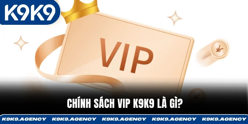 Chính sách VIP K9K9 là gì?
