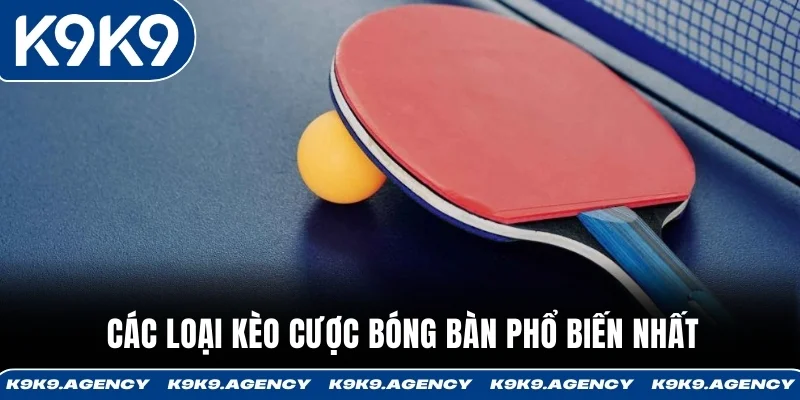 Cược Bóng Bàn Là Gì? Hướng Dẫn Dễ Hiểu Trong 60 Giây 4 Các loại kèo cược bóng bàn phổ biến nhất