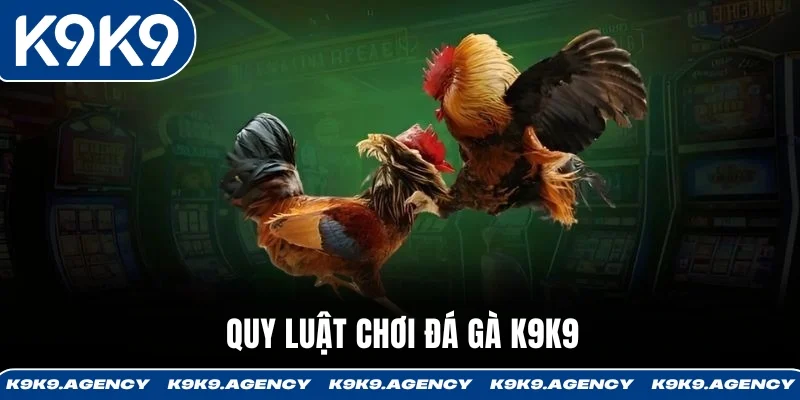Quy luật chơi đá gà K9K9