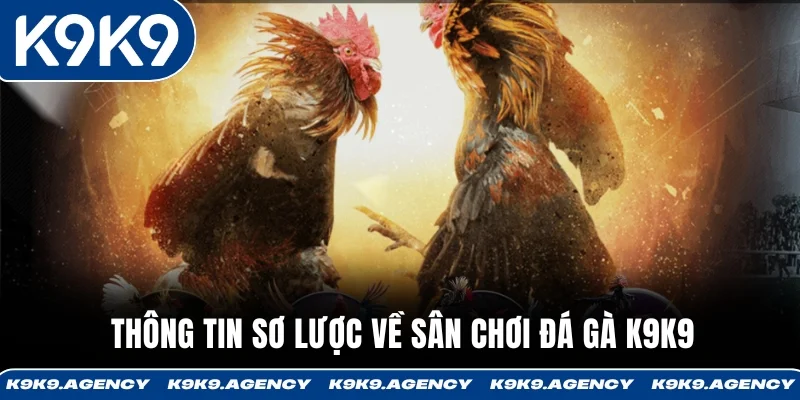 Thông tin sơ lược về sân chơi đá gà K9K9