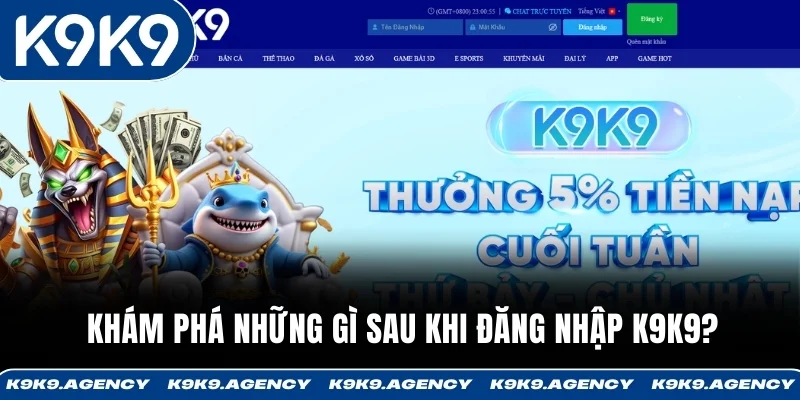 Đăng Nhập K9K9 3 Khám phá những gì sau khi đăng nhập K9K9?