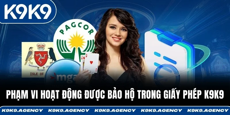 Giấy Phép Hoạt Động 3 Phạm vi hoạt động được bảo hộ trong giấy phép K9K9