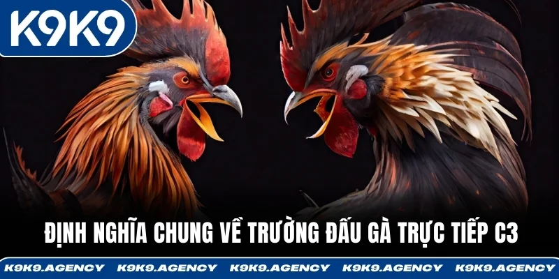 Đá Gà C3 - Xem Trực Tiếp Gà Chiến Đấu Chỉ Trong 15-20 Phút 1 Định nghĩa chung về trường đấu gà trực tiếp C3
