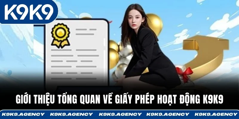 Giấy Phép Hoạt Động 1 Giới thiệu tổng quan về giấy phép hoạt động K9K9