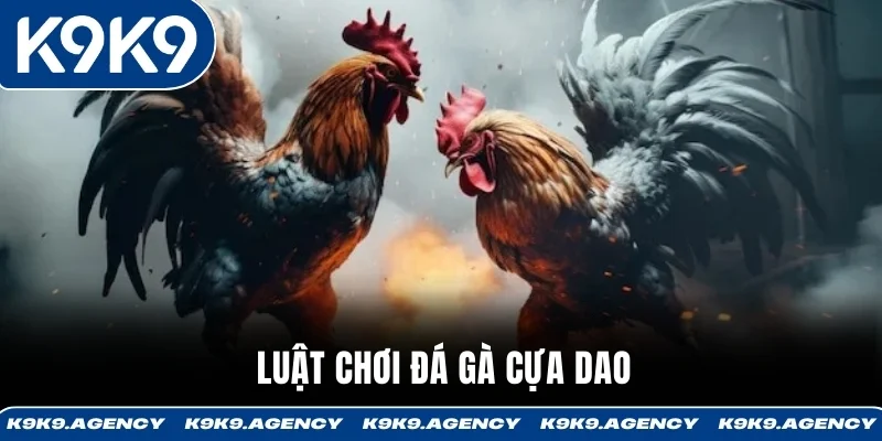 Đá Gà Cựa Dao K9K9 - Địa Chỉ Đá Gà Trực Tiếp Uy Tín 2 Luật chơi đá gà cựa dao