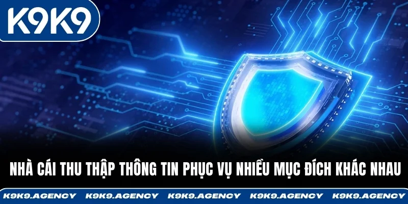 Chính Sách Bảo Mật K9K9 2 Nhà cái thu thập thông tin phục vụ nhiều mục đích khác nhau