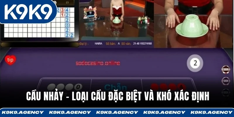 Cầu nhảy - Loại cầu đặc biệt và khó xác định