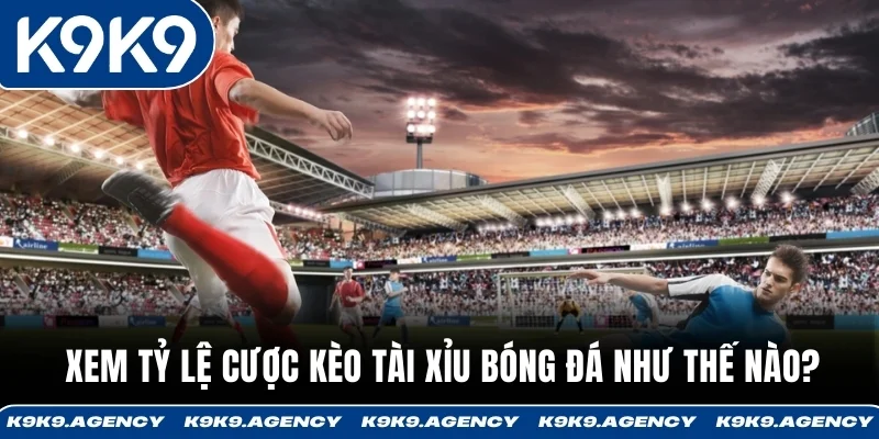 Kèo Tài Xỉu - 3 Cách Dễ Nhận Biết Dành Cho Newbie 3 Xem tỷ lệ cược kèo tài xỉu bóng đá như thế nào?