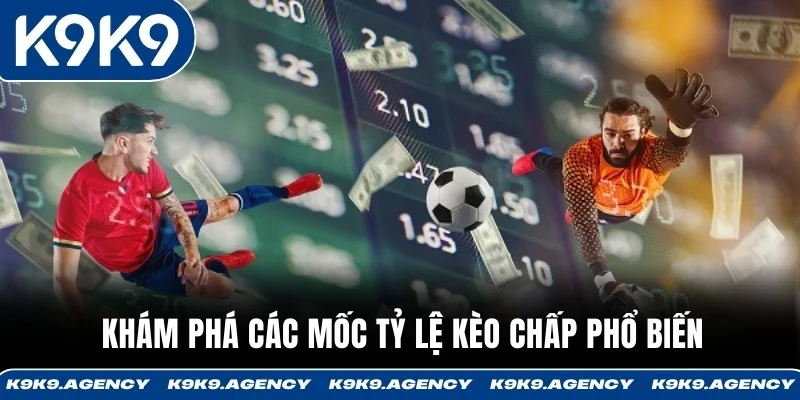 Kèo Handicap K9K9 - Thông Tin Quan Trọng Và Bí Kíp Soi Kèo 3 Khám phá các mốc tỷ lệ kèo chấp phổ biến
